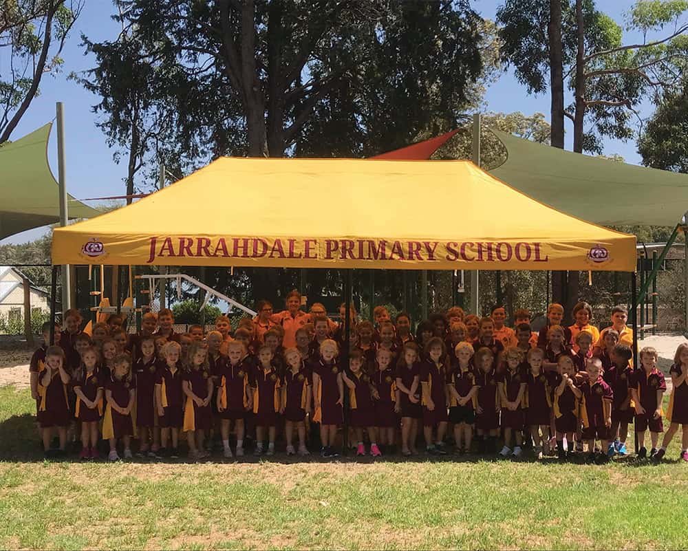 3x6 printed gazebo package 1