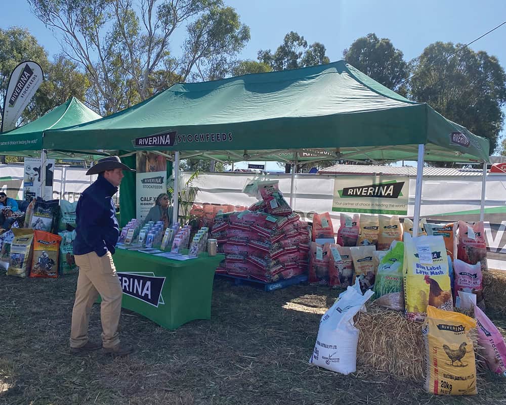 3x6 printed gazebo package 2