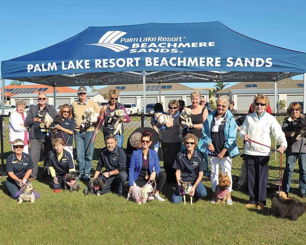 3x6 printed gazebo package 3