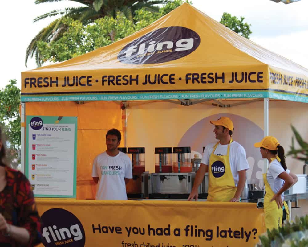 3x3 printed gazebo package 7