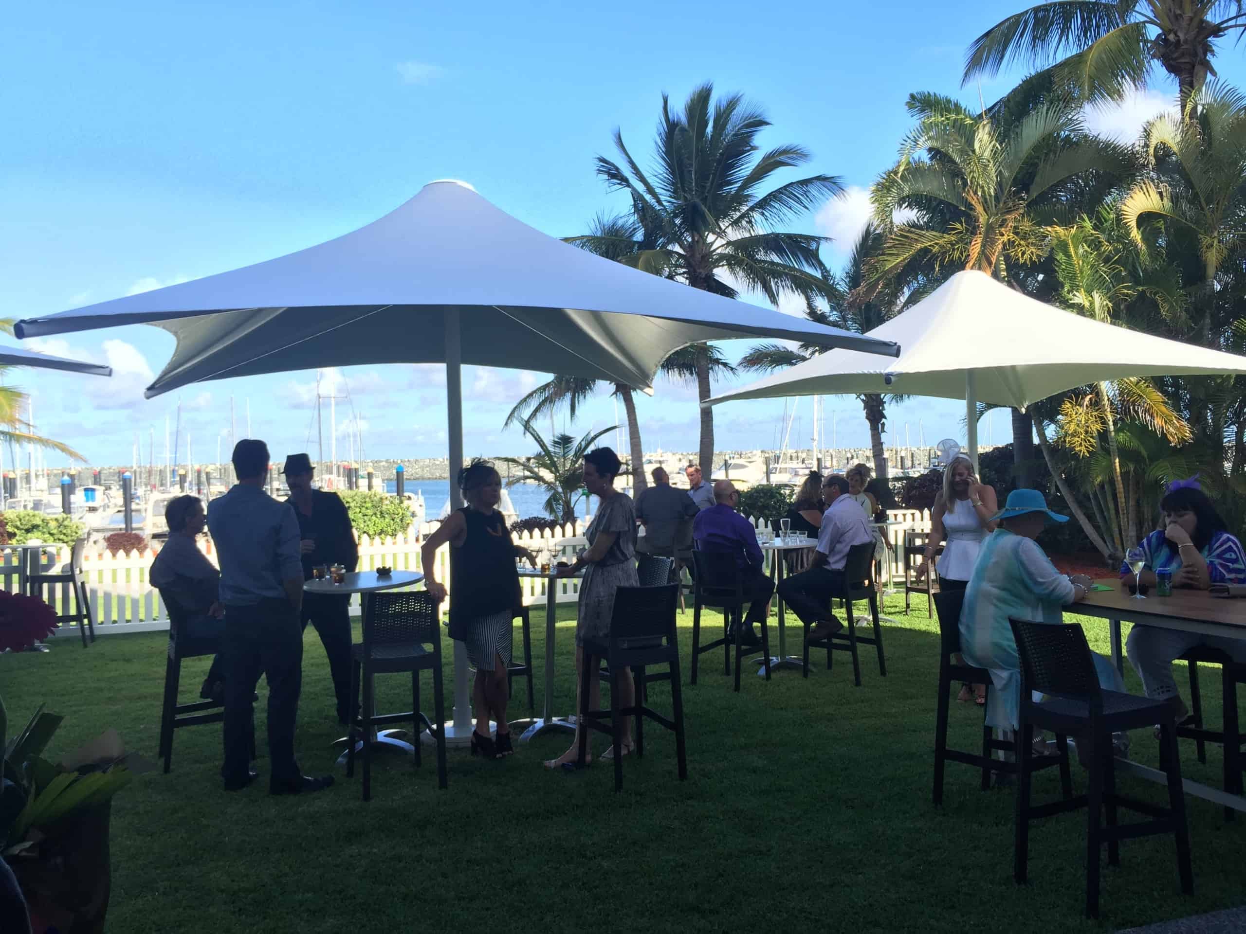 05 pvc umbrella gallery