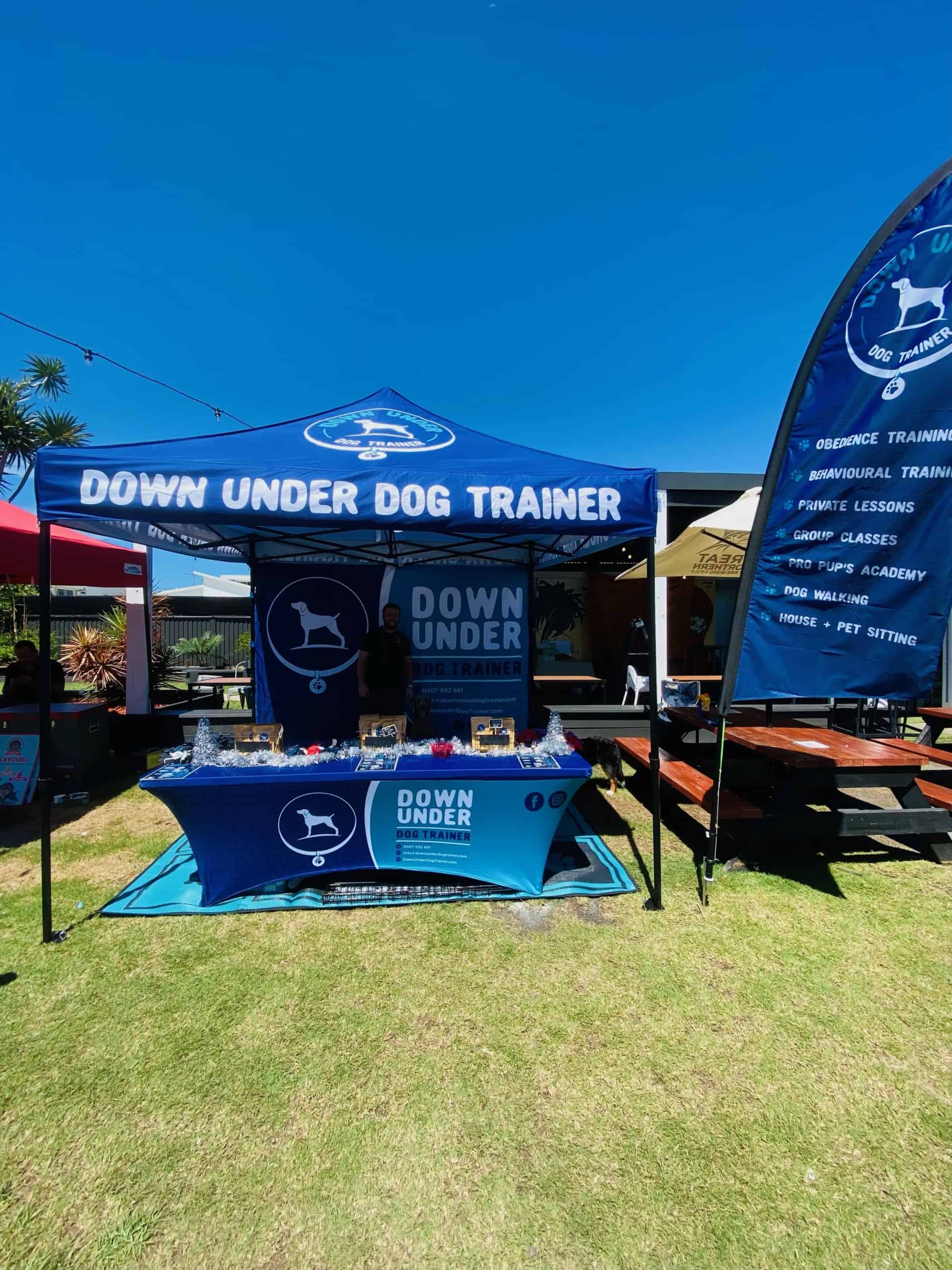 down under dog training 3 3x3 min