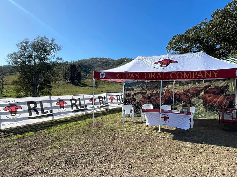 custom banners gallery 6