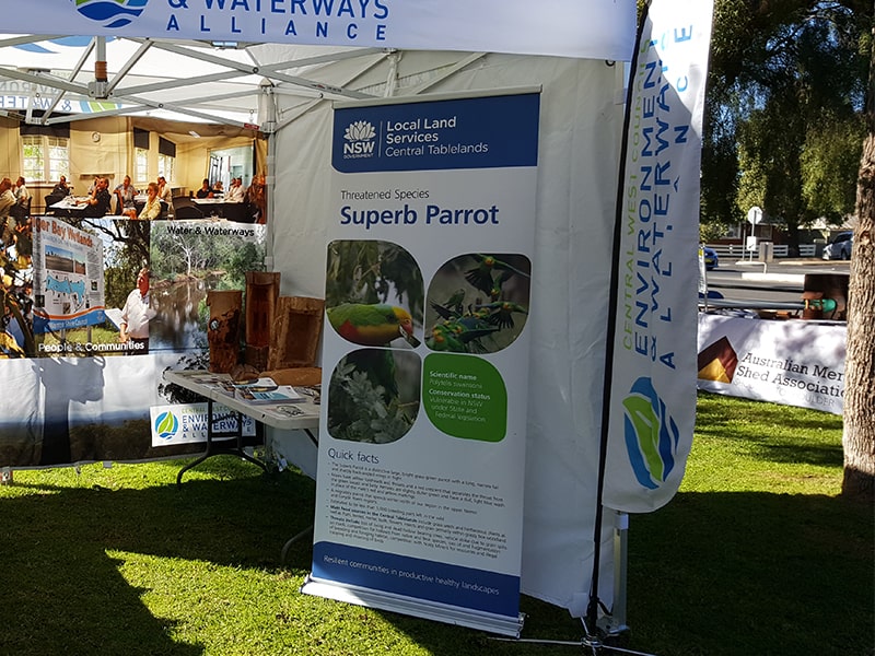 pull up banner media wall gallery 3