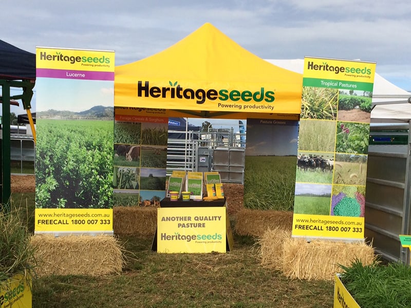 pull up banner media wall gallery 5