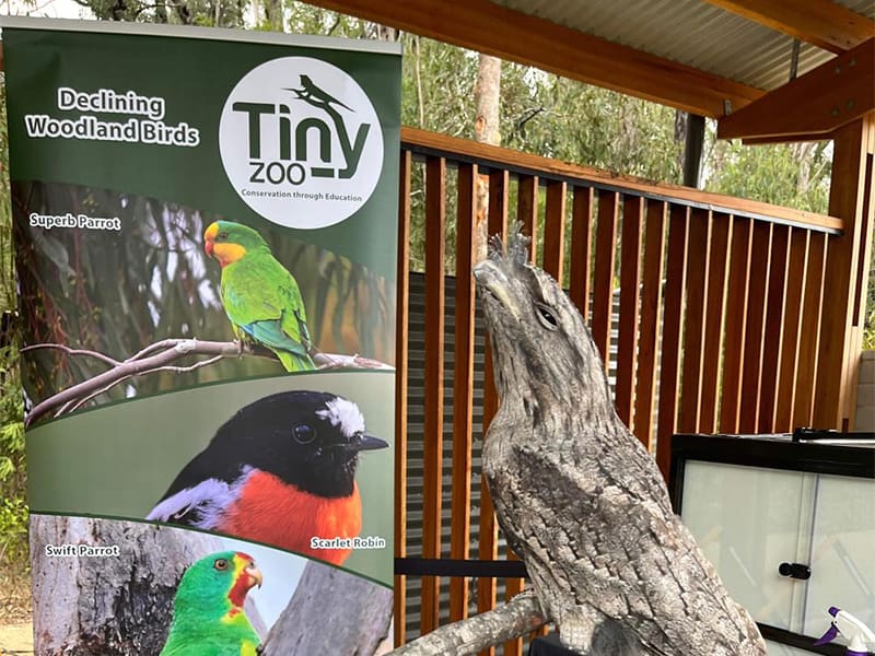 pull up banner media wall gallery 9